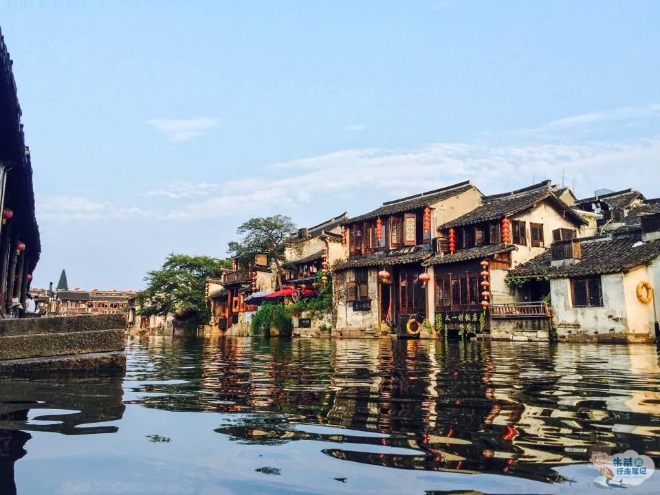 寻找火鸡